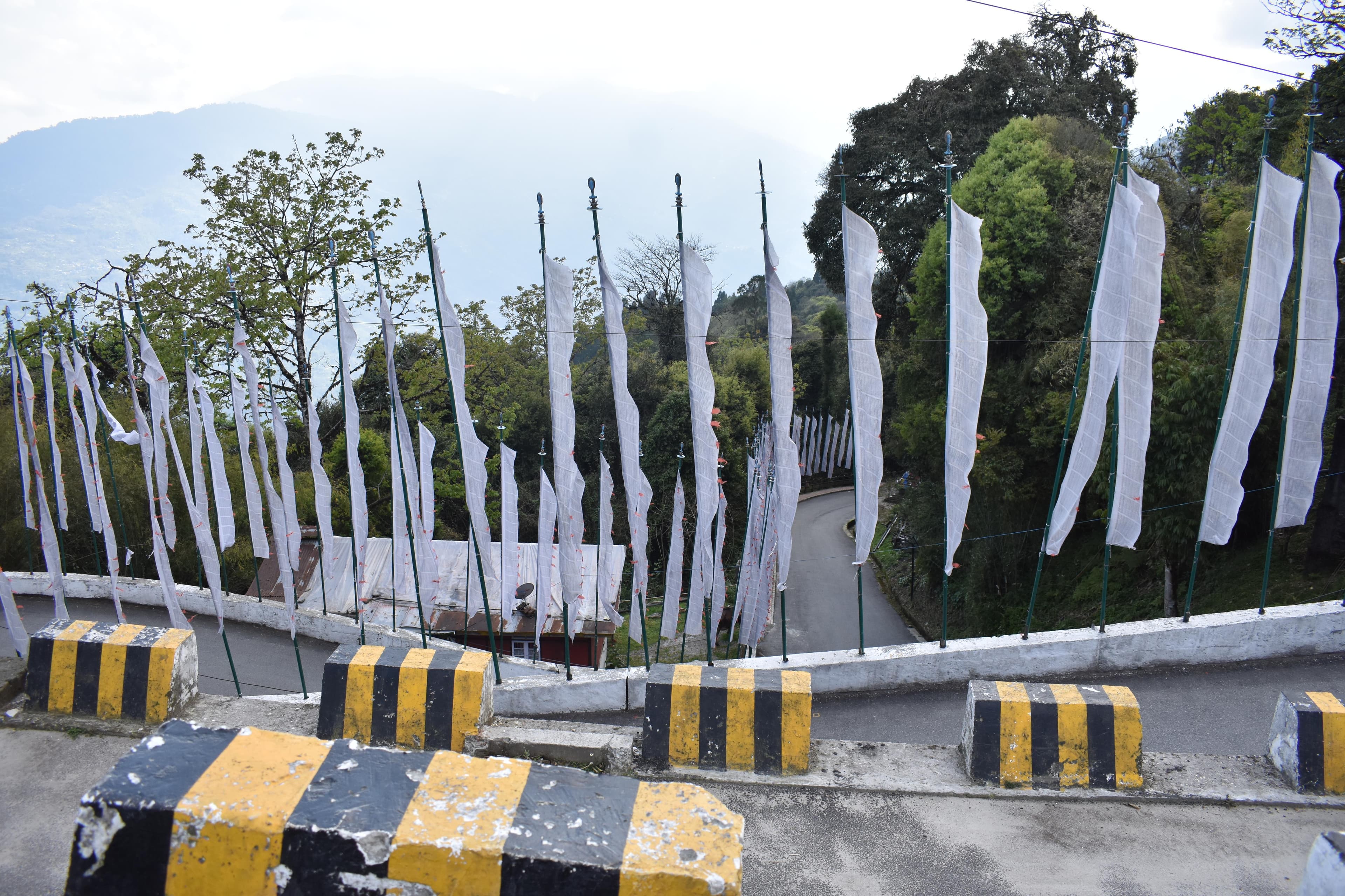 Explore the mountains with rental cars.