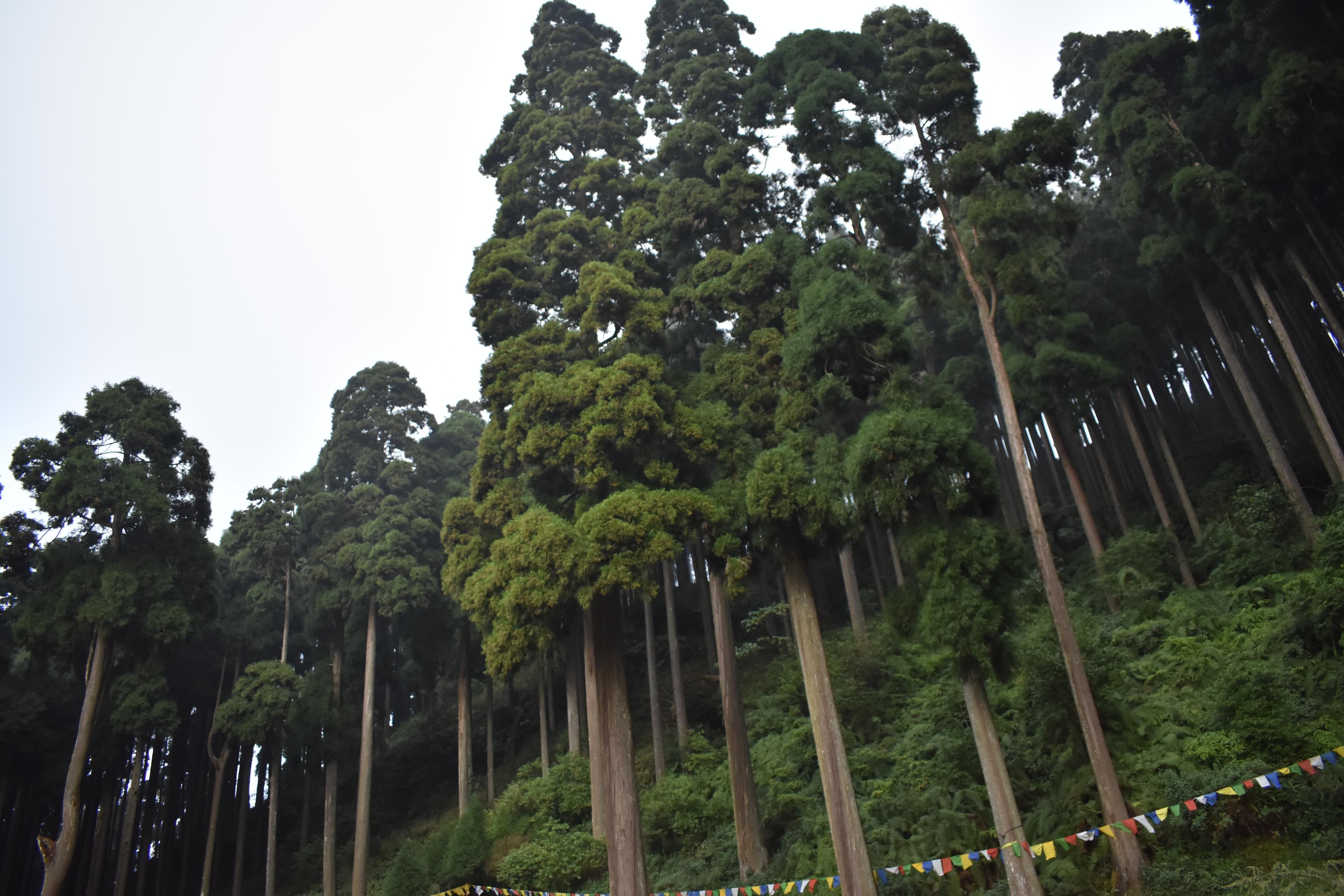  Save on Tour Packages