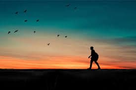 Enjoy the Beauty of the Floating City