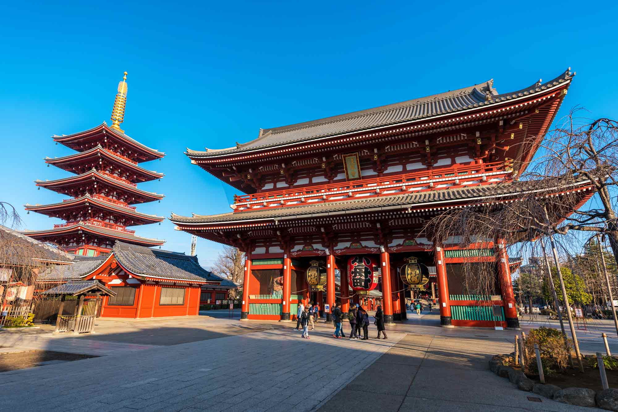 Tokyo Culture Immersion